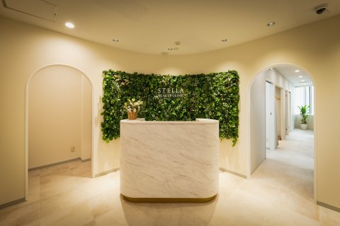 STELLA BEAUTY CLINIC 東京都 美容クリニック ホワイト×グリーンウォール・アーチ 受付。白大理石調のカウンターとグリーンウォール、アーチの開口(サンリット建設(DESIGN STUDIO TEMPO))