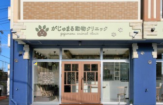 沖縄県の動物病院の内装デザイン事例（コンセプション）