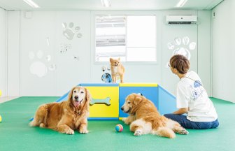 沖縄県のホテルの内装デザイン事例（カエル・デザイン・プロジェクト）