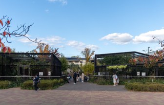 京都府の動物園施設の内装デザイン事例（クサノユカリ建築設計室）