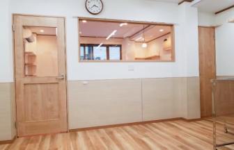 東京都品川区荏原3-5-21-1FのMARBLE DOG｜ペット関連の内装デザイン事例（株式会社effort）