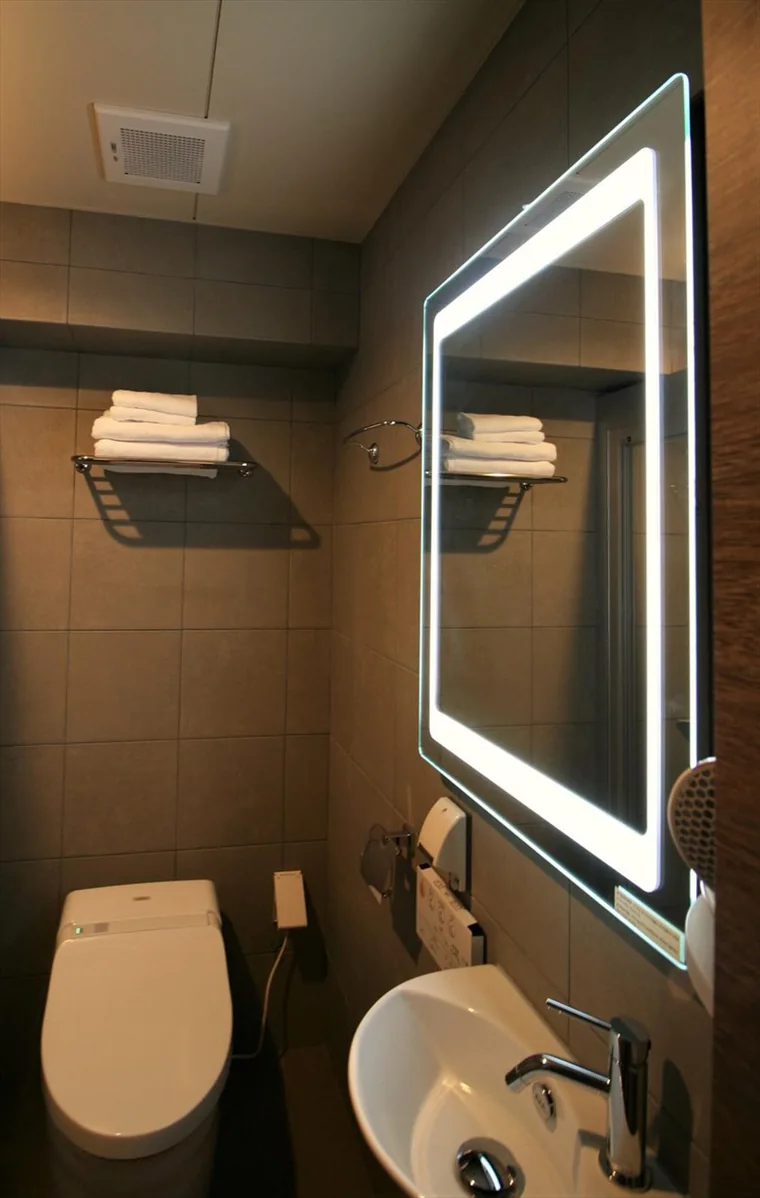 照明付きの鏡と洗面器、トイレをコンパクトに配置した水回り。